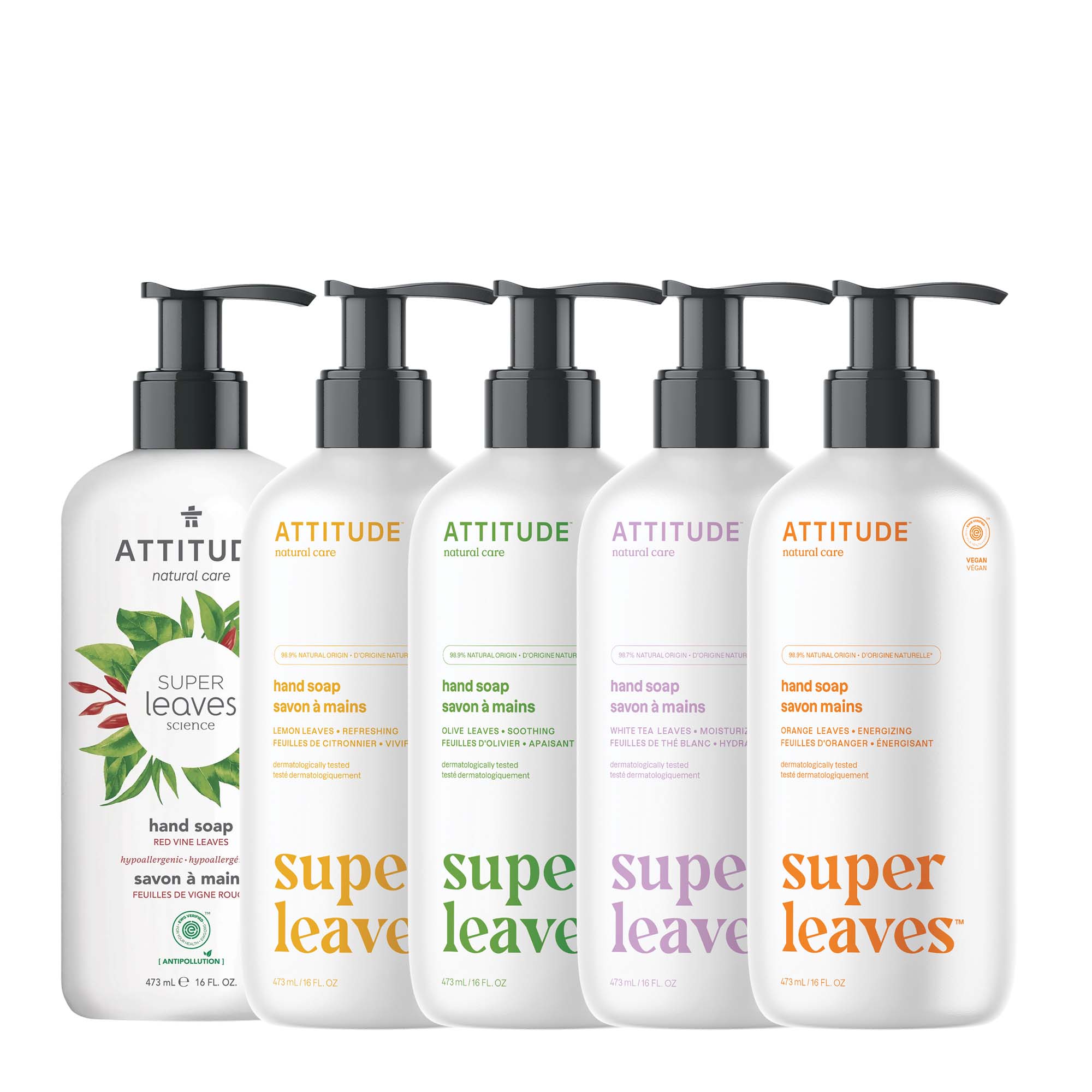 Hand Soap Kit